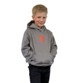 The Skater Grey Pullover